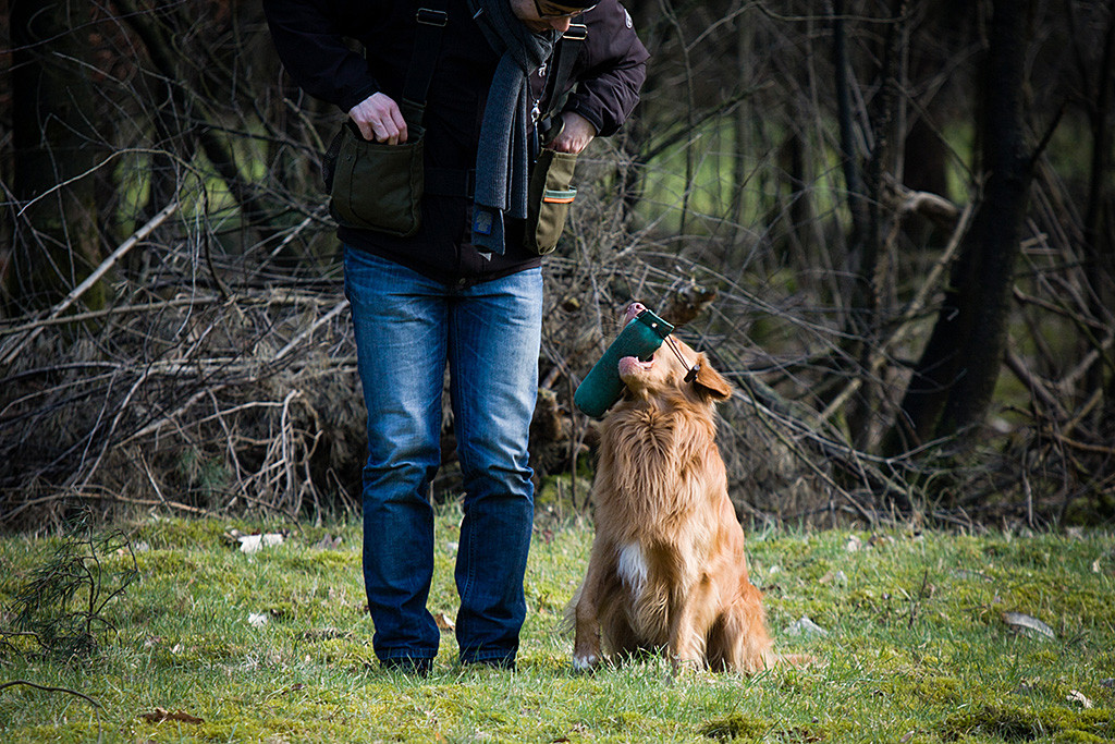 Edison sitzt mit einem apportierten Dummy im Fang neben Stephan, bereit zur Abgabe