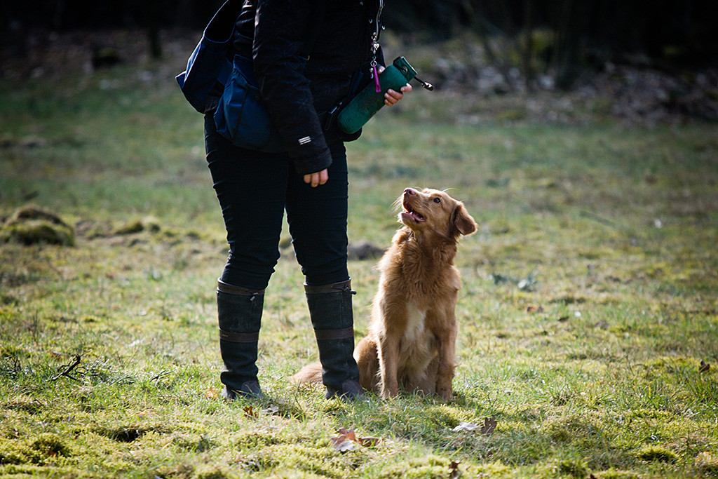 Ivalu lächelt Carina zu, die ihr gerade den Dummy abgenommen hat