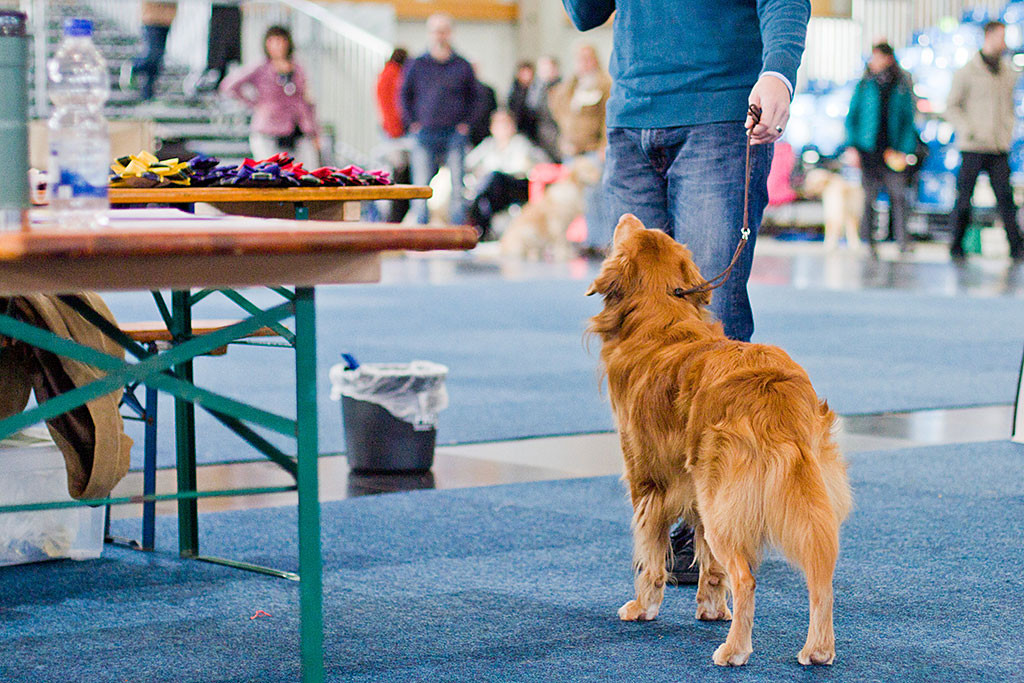 Edison von hinten fotografiert steht mit Stephan vor dem Richtertisch