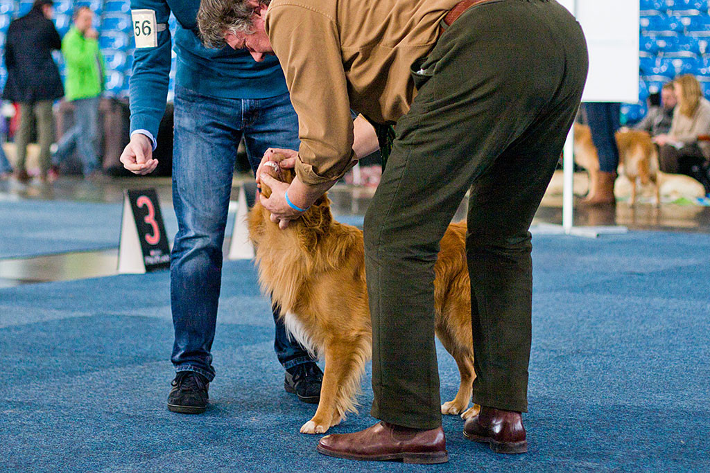 Edisons Zähne werden vom Richter kontrolliert, hinter ihnen steht Stephan