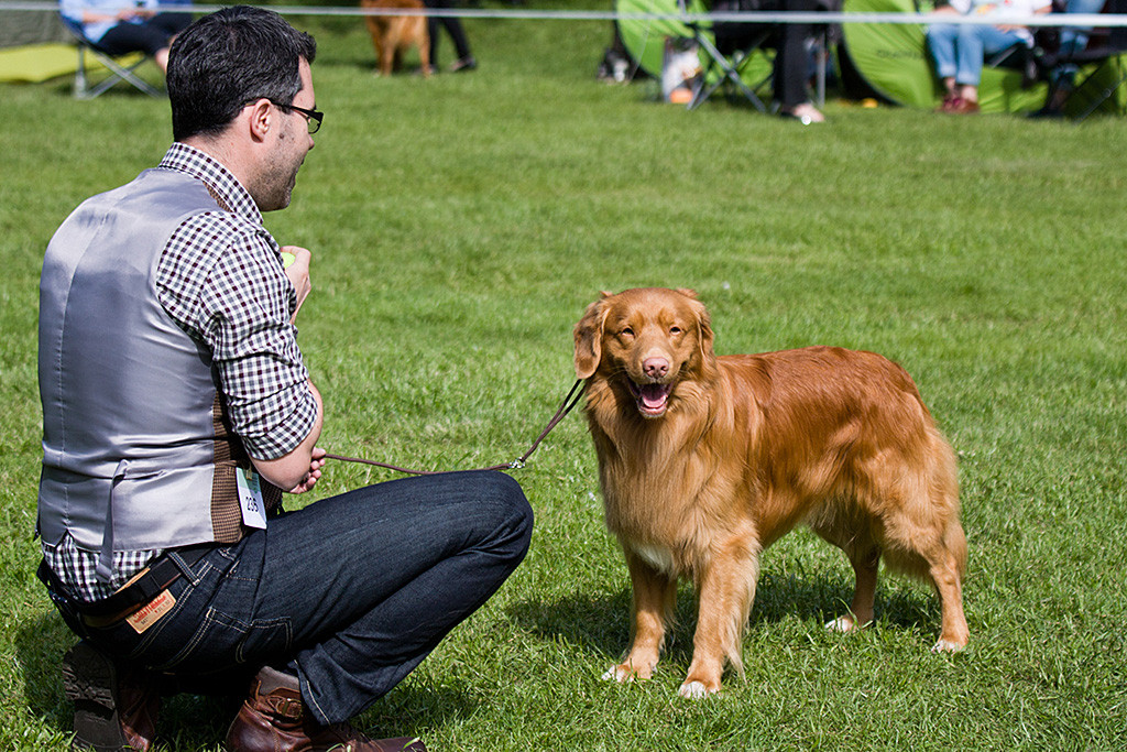Edison steht vor einem hockendem Stephan im Ring und lächelt Julia beim Fotografieren an