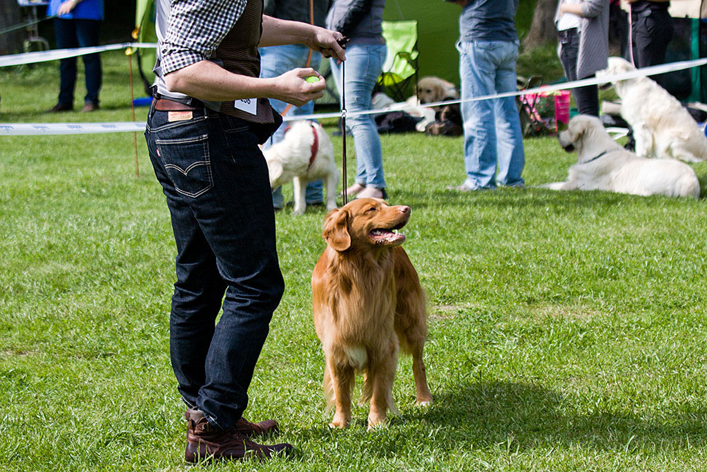 Edison steht mit Stephan im Ring und hält dabei lächelnd seine Nase in den Wind
