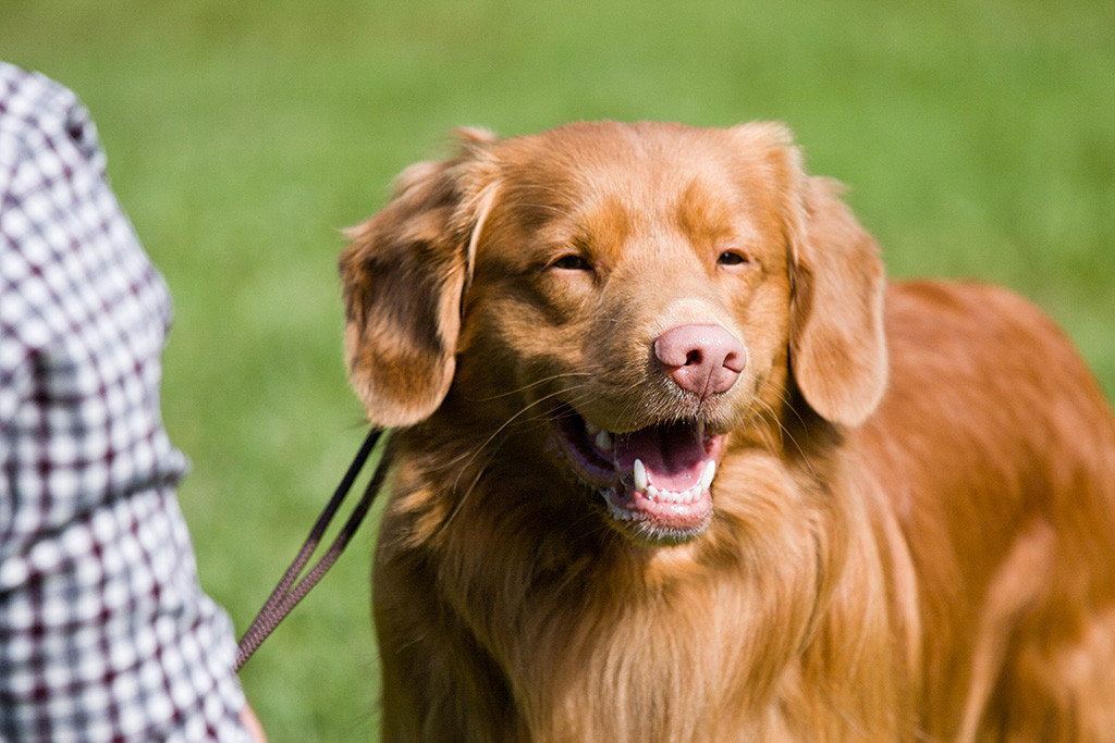 Edisons Kopf in Großaufnahme während er verschmitzt lächelt