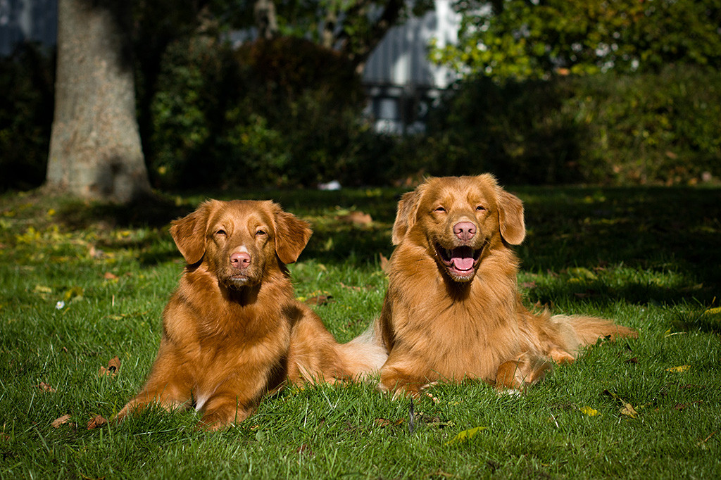 Edison liegt grinsend neben Ivalu im Gras, die ernst in die Kamera schaut