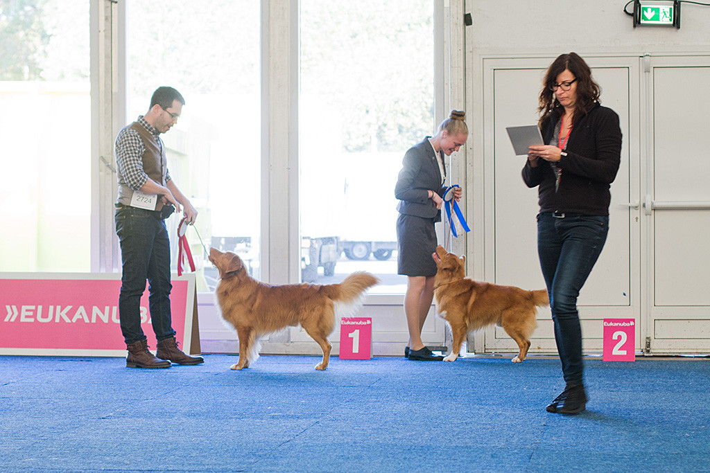Edison steht als Erstplatzierter neben dem Zweitplatzierten Loke in der Championklasse