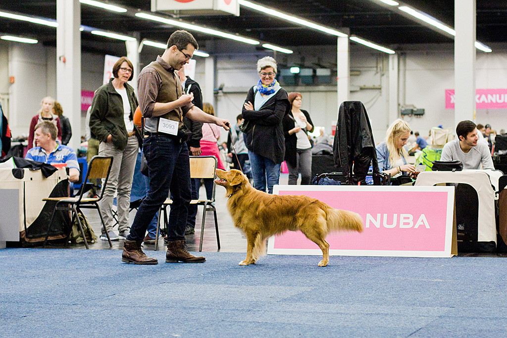Edison steht wie eine Eins vor Stephan und lächelt ihn dabei an