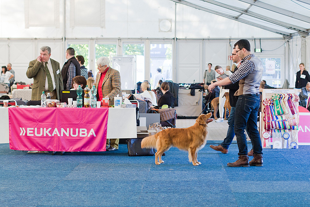 Edison steht mit Stephan vor dem Richtertisch und lächelt ihn dabei an