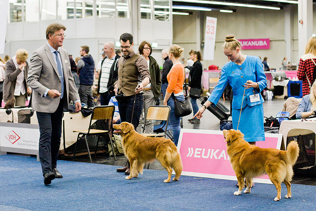 Edison und Loke bei der Wahl von Richter Henric Fryckstrand zum Sieger der Championklasse
