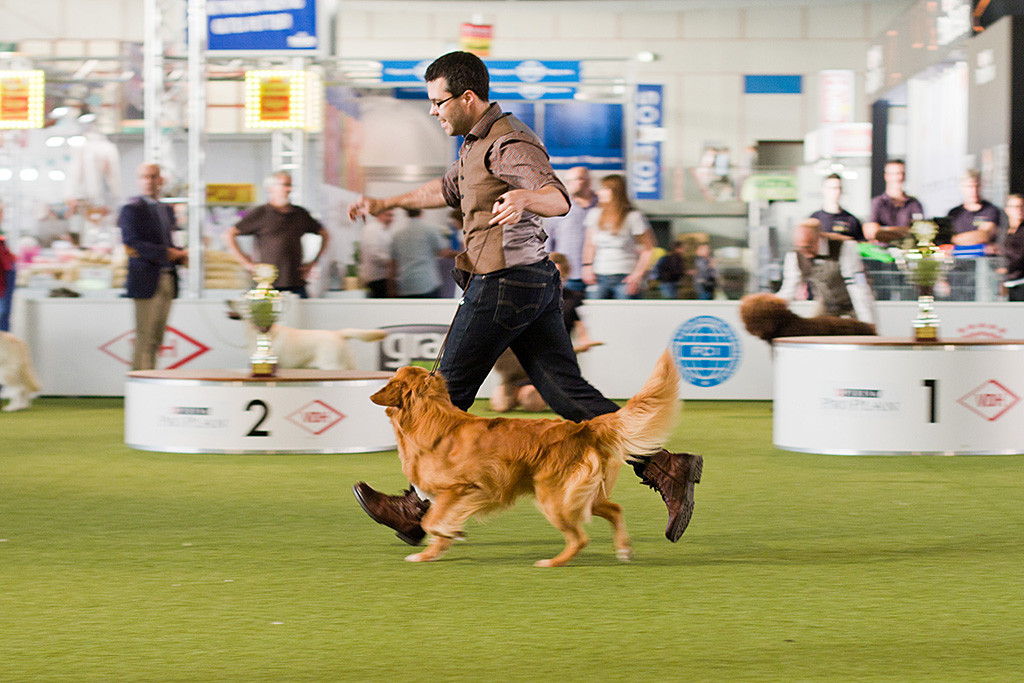 Edison läuft geführt von Stephan in den Ehrenring ein