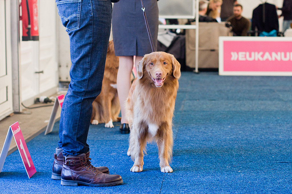 Edison lächelt in die Kamera während er mit Stephan auf seinen Einsatz wartet