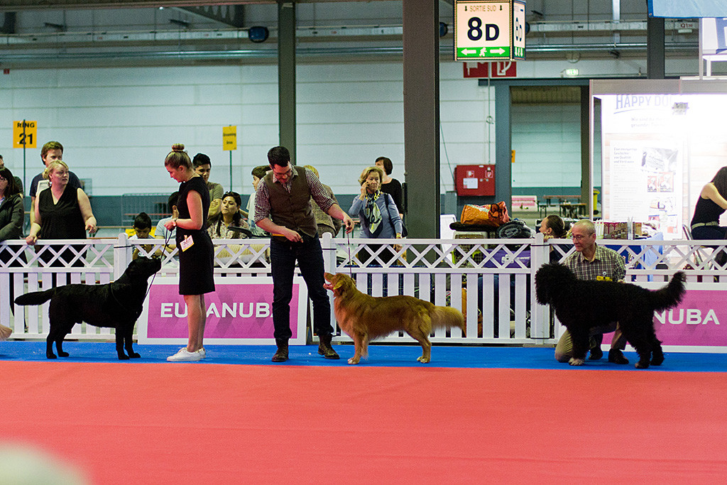 Edison steht an der Seite von Stephan im Ehrenring