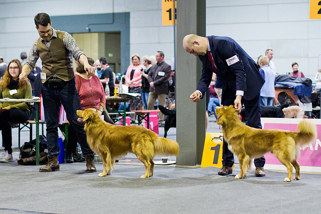 Edison und »JavaHill's Rider In The Sky«