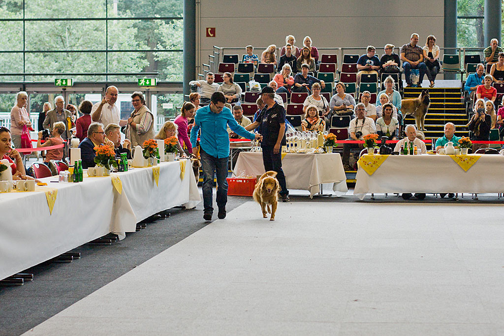 Edison läuft mit Stephan im Ehrenring ein