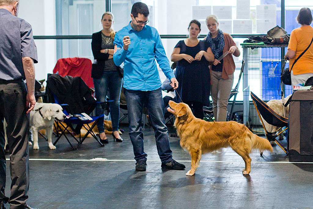 Edison steht vor Stephan in Pose und lässt sich vom Richter initial begutachten