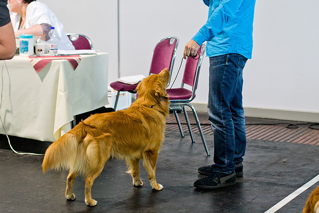 Edison steht wie eine Eins vor Stephan
