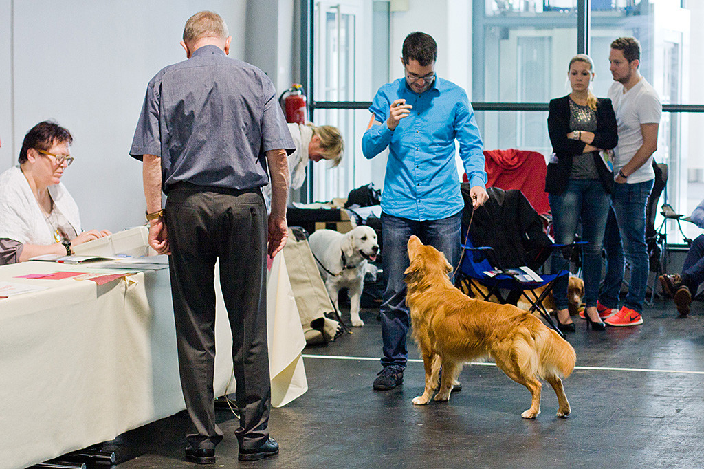 Edison steht ein wenig zu weit ausgestellt vor Stephan während er vom Richter beurteilt wird