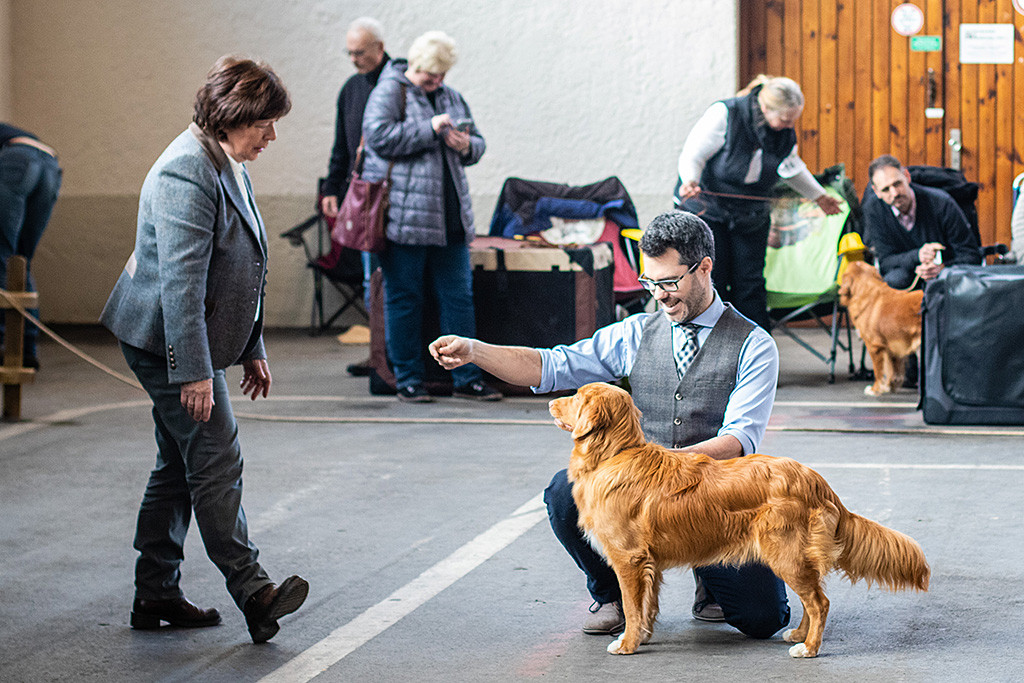 Newton steht vor der Richterin und wird von ihr frontal begutachtet, Stephan hockt hinter ihm
