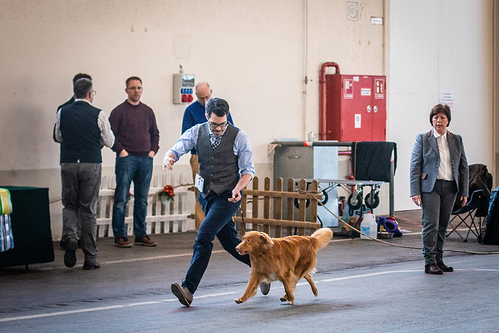 Edison fliegt mit Stephan förmlich durch den Ehrenring