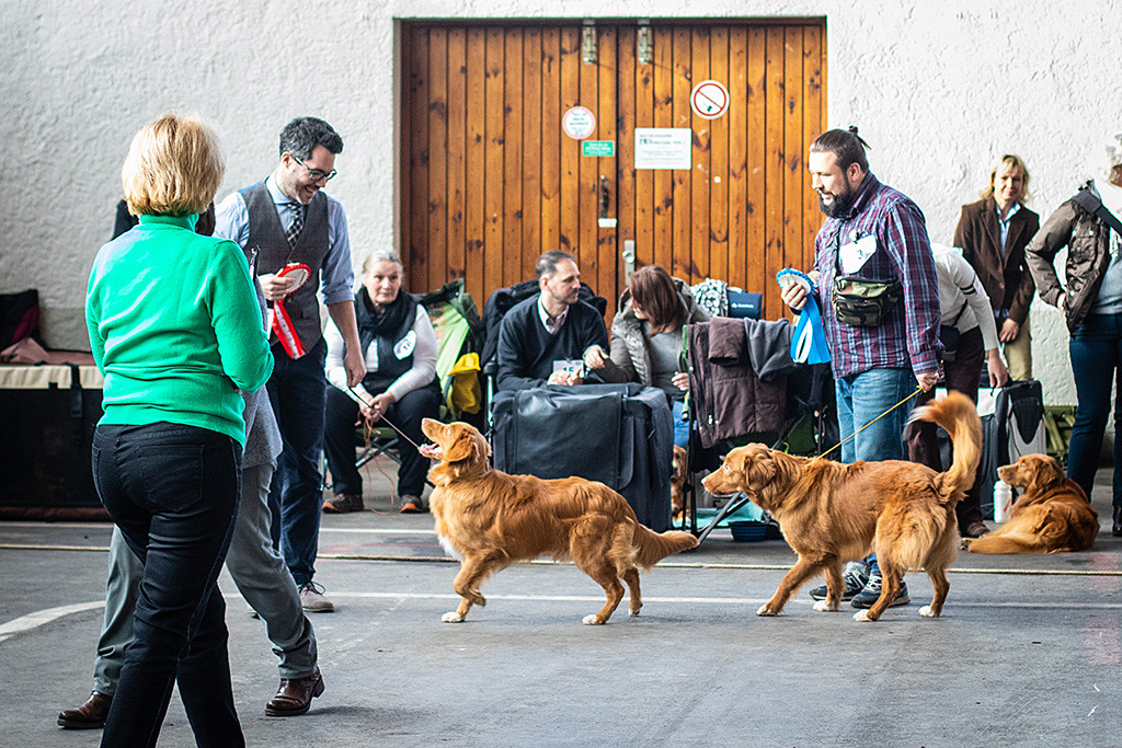 Newton und Stephan freuen sich gemeinsam über den ersten Platz in der Jugendklasse