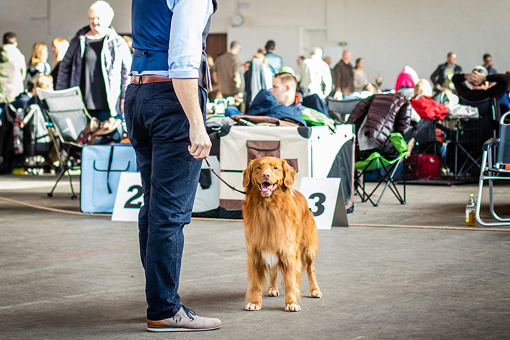 Edison präsentiert sich vor der dem Richtertisch, Stephan steht seitlich davor