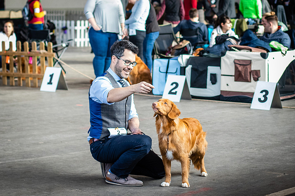 Newton steht mit einem hockenden Stephan seitlich vor dem Richtertisch und macht ein witziges Gesicht