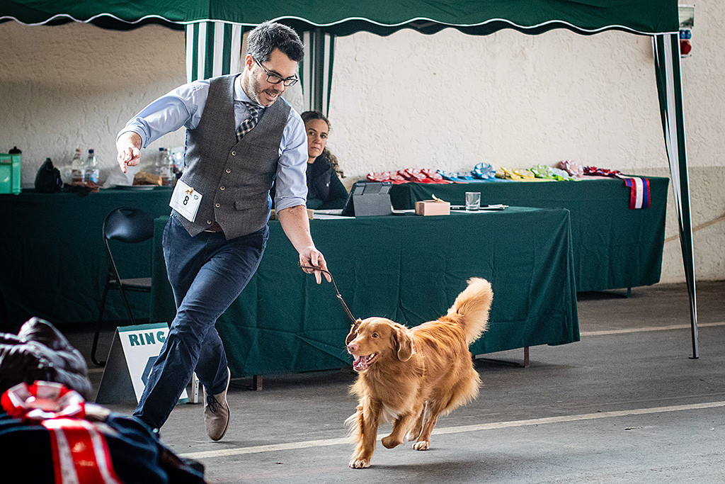 Edison läuft geführt von Stephan eine Runde im Ring