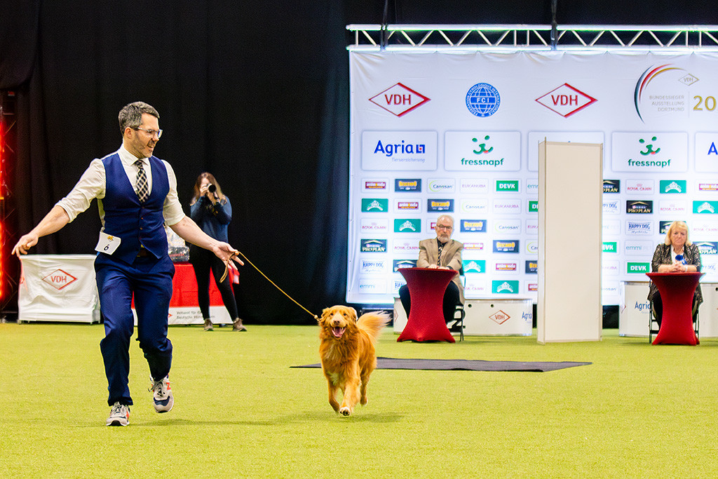 Newton läuft freudig an Stephans Seite auf die Kamera zu, im Hintergrund begutachten das Jochen Eberhardt und Maria-Josée Melchior-Schlechter auf ihren Stühlen sitzend