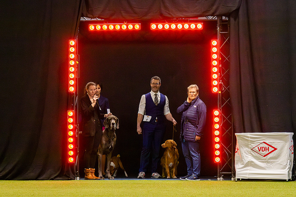 Newton und Stephan stehen zusammen mit der Deutschen Dogge blau plus Hundeführerin am Eingang und warten auf das GO der Show-Koordinatorin