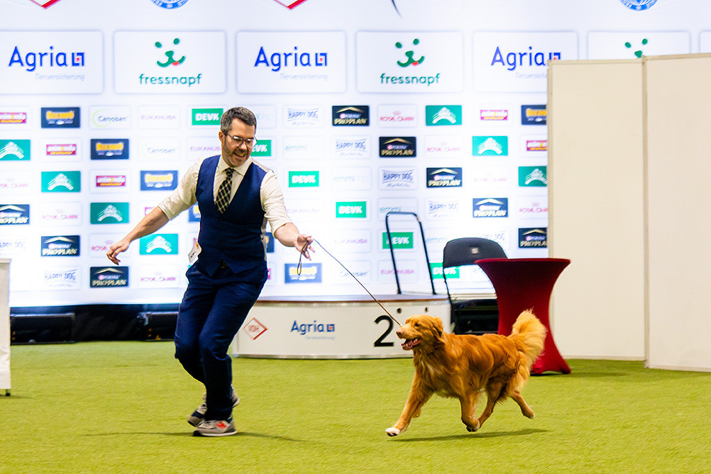 Newton fliegt förmlich an Stephans Seite durch den Ring und hat dabei keine Pfote am Boden