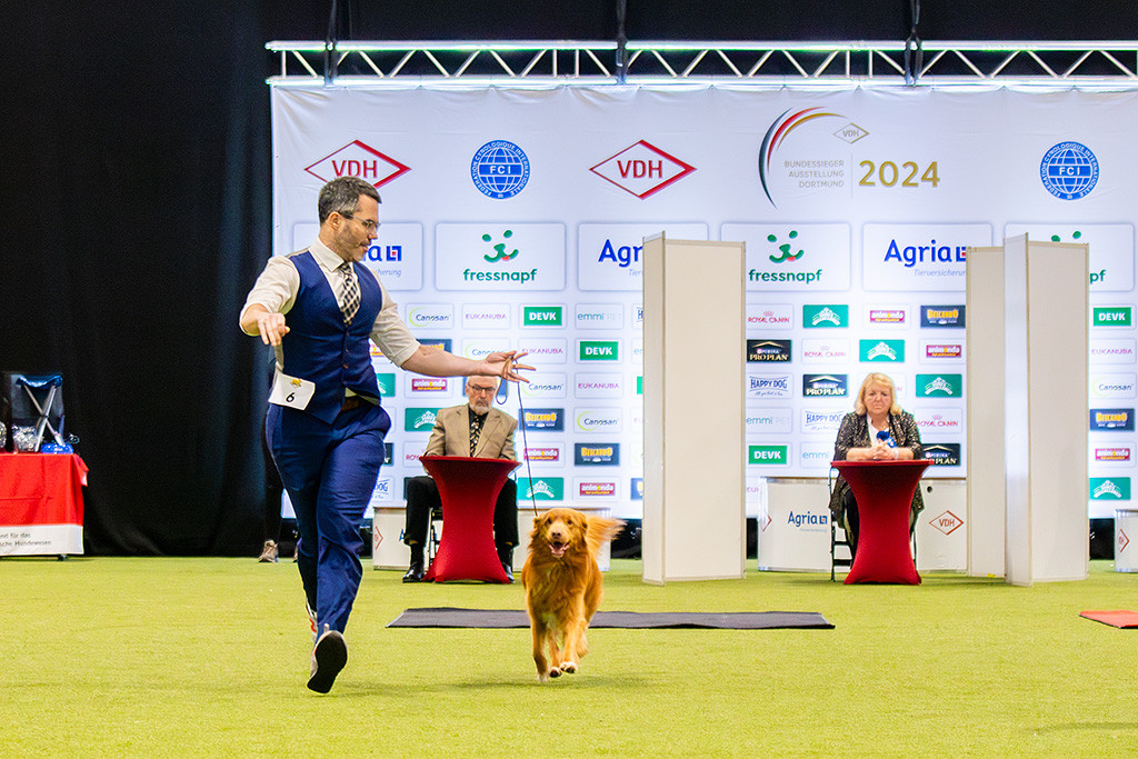 Newton läuft freudig an Stephans Seite auf die Kamera zu, im Hintergrund begutachten das Jochen Eberhardt und Maria-Josée Melchior-Schlechter auf ihren Stühlen sitzend