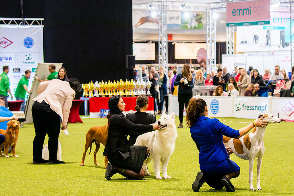 Newton steht aufgereiht mit den anderen Top 6 Kandidaten
