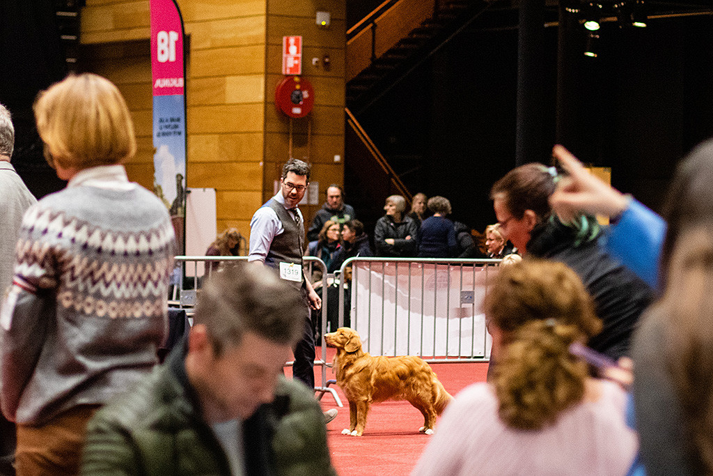 Newton steht in perfekter Pose frontal vor Stephan im Vorring, im Vordergrund sind viele Menschen zu sehen