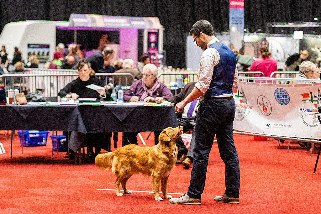 Newton steht in Pose vor dem Richtertisch und schaut zu Stephan hoch