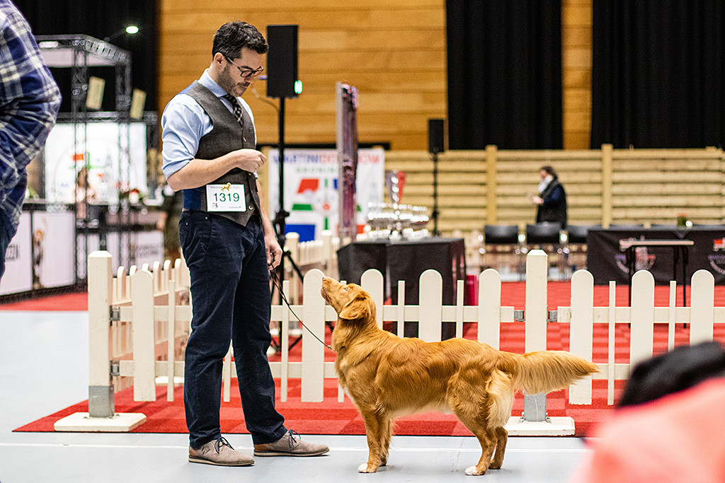 Newton steht frontal vor Stephan außerhalb des Rings und schaut zu ihm hoch