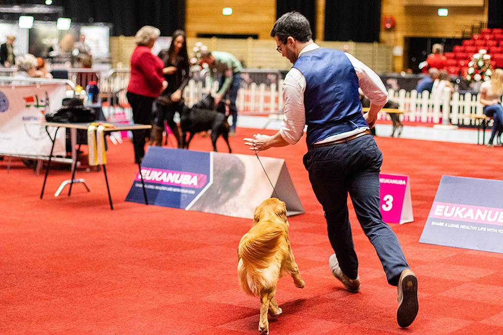 Newton läuft leichtführig an Stephans Seite durch den Ring