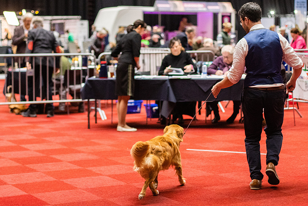 Newton läuft auf der Geraden an Stephans Seite auf den Richtertisch zu
