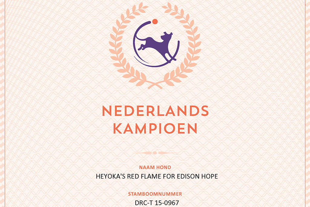 Edisons Urkunde zum niederländischen Champion