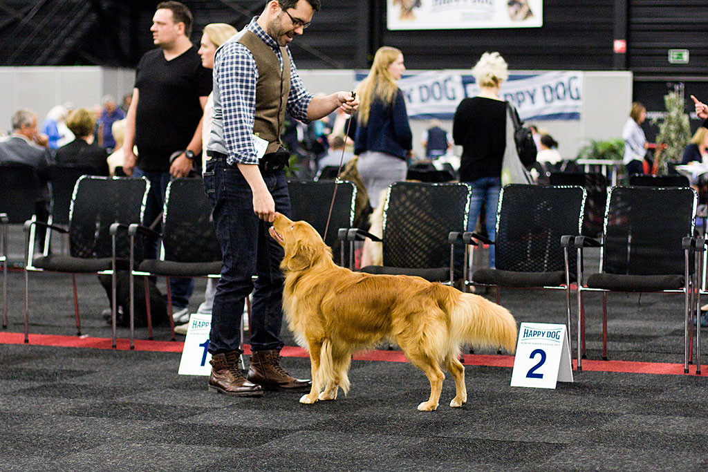 Edison steht vor Stephan und schnüfelt an seiner Hand