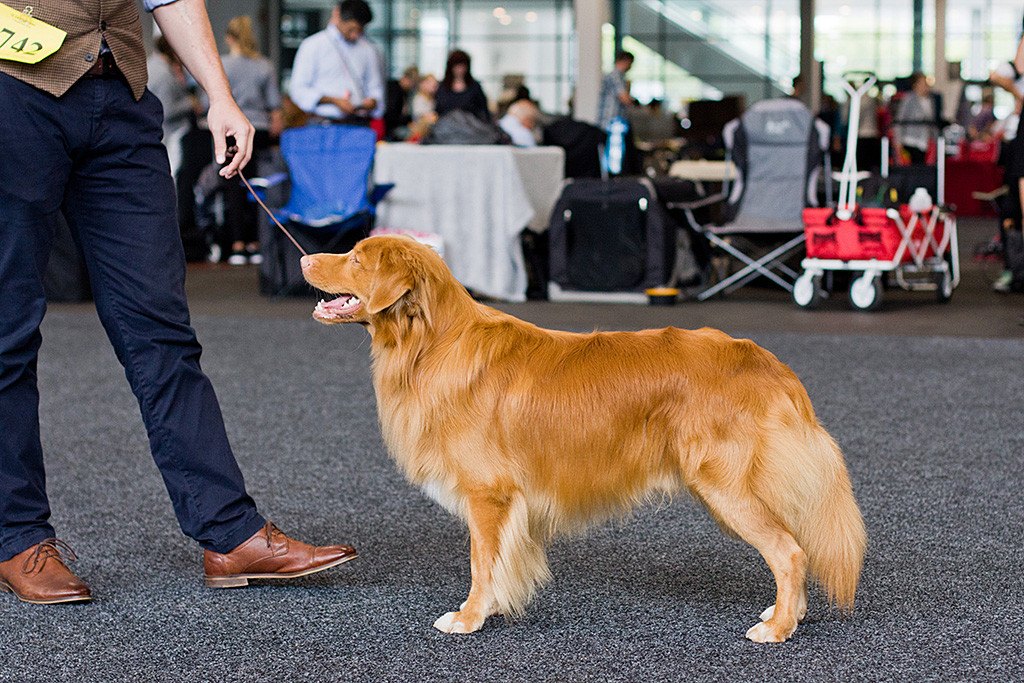 Edison steht lächelnd vor Stephan