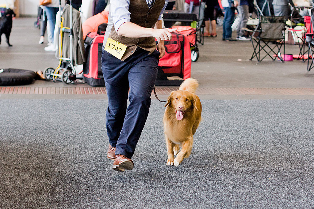 Edison läuft an Stephans Seite freudestrahlend durch den Ring