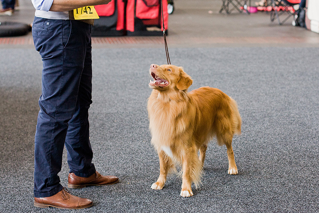 Edison steht breit lächelnd vor Stephan und schaut zu ihm hoch
