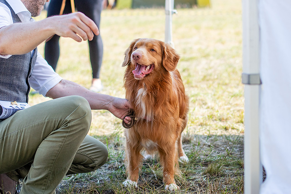 Newton steht im Schatten vor dem Richtertisch, Stephan kniend dahinter