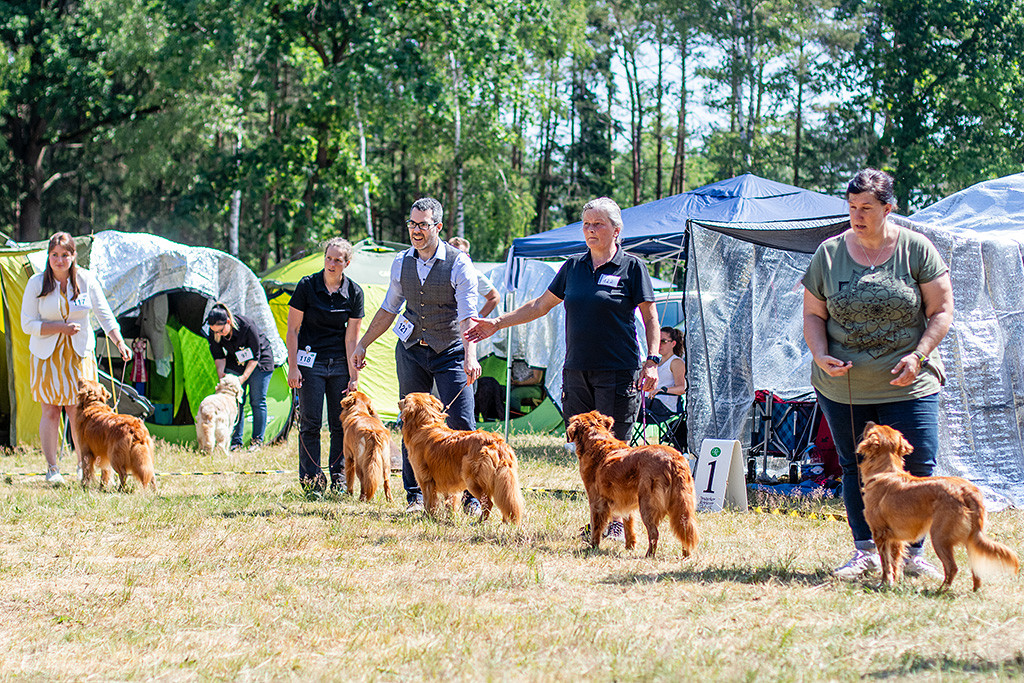 Edison und Newton stehen in einer Linie mit den anderen BOB-Anwärtern
