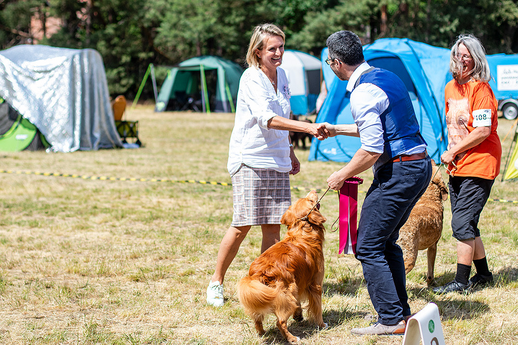 Newton wird Best in Show und schaut nach oben, wo die Richterin Stephan mit Handschlag beglückwünscht