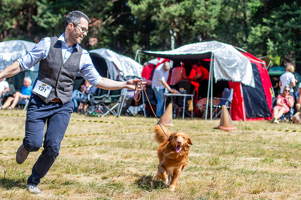 Newton läuft freudestrahlend mit weit geöffnetem Maul an Stephans Seite durch den Ring