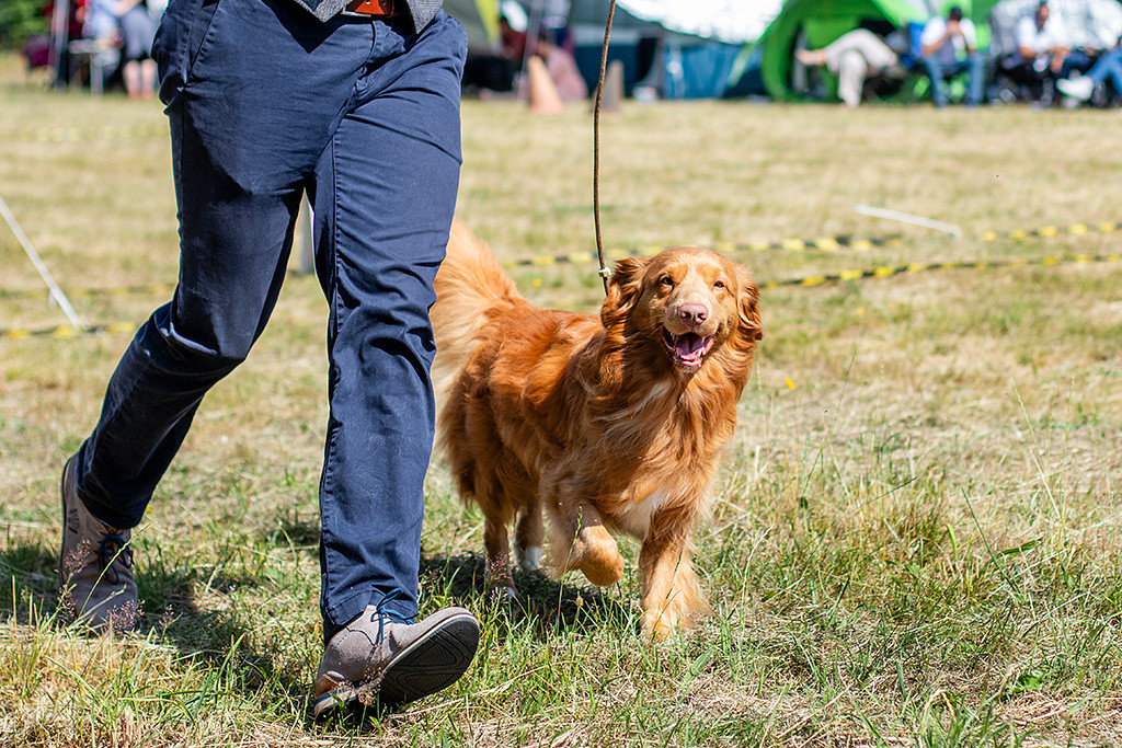 Newton strahlt in die Kamera während er an Stephans Seite durch den Ring läuft