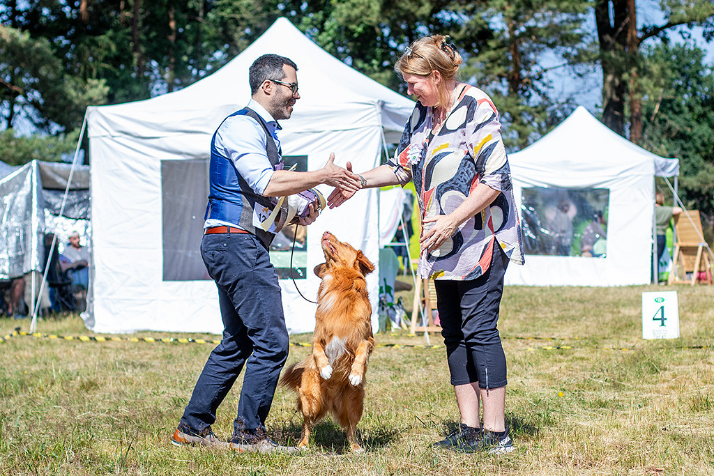 Newton stellt sich neugierig auf die Hinterbeine während die Richterin Stephan gratuliert und den Futtersack übergibt