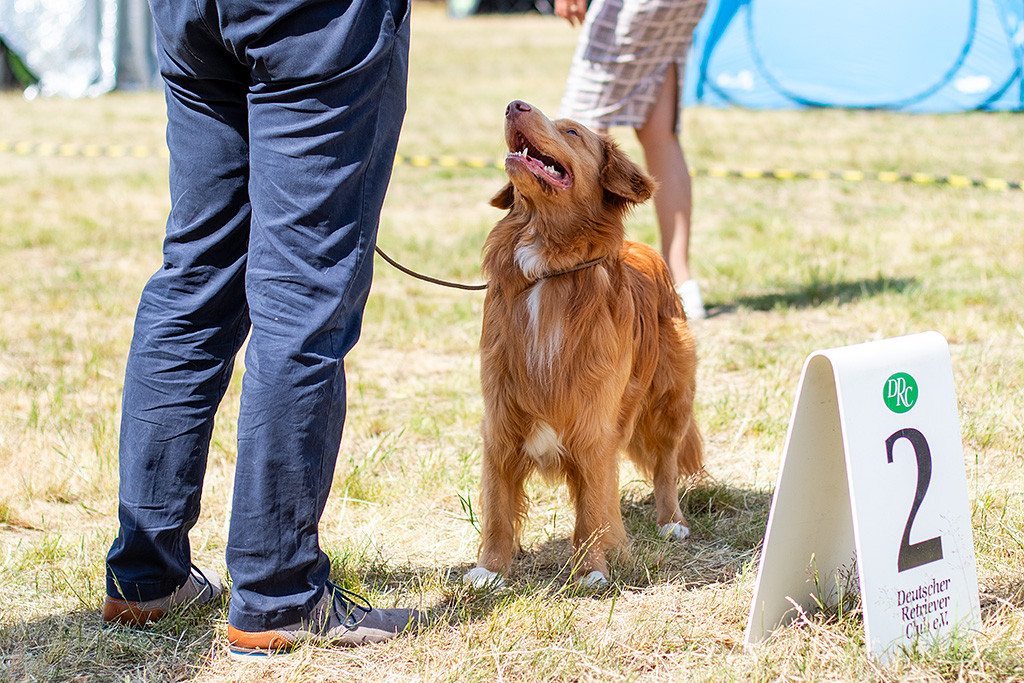 Newton steht neben Stephan im Gras, der ihm Schatten spendiert