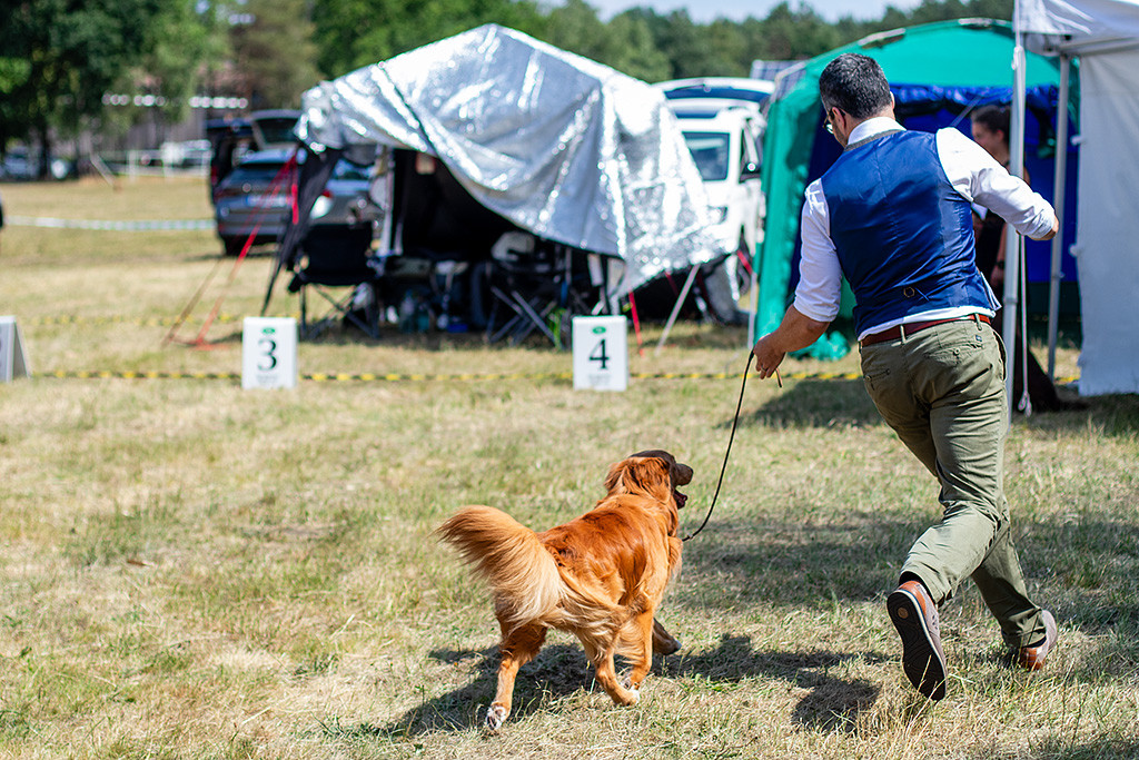 Newton dreht an Stephans Seite eine Runde durch den Ring