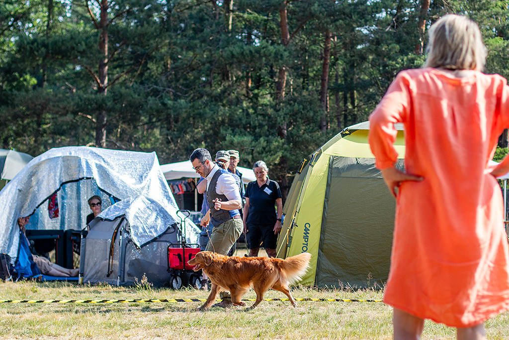 Edison läuft an Stephans Seite durch den Ring